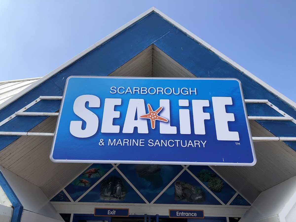 SEA LIFE Scarborough