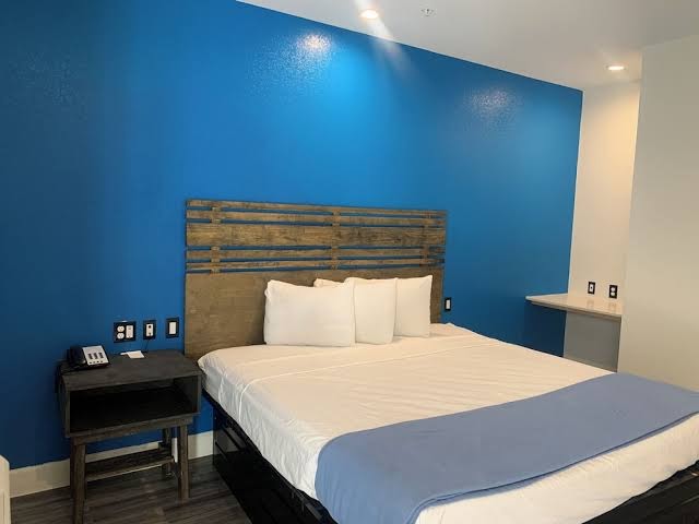 Signature Inn North Houston District photo 3