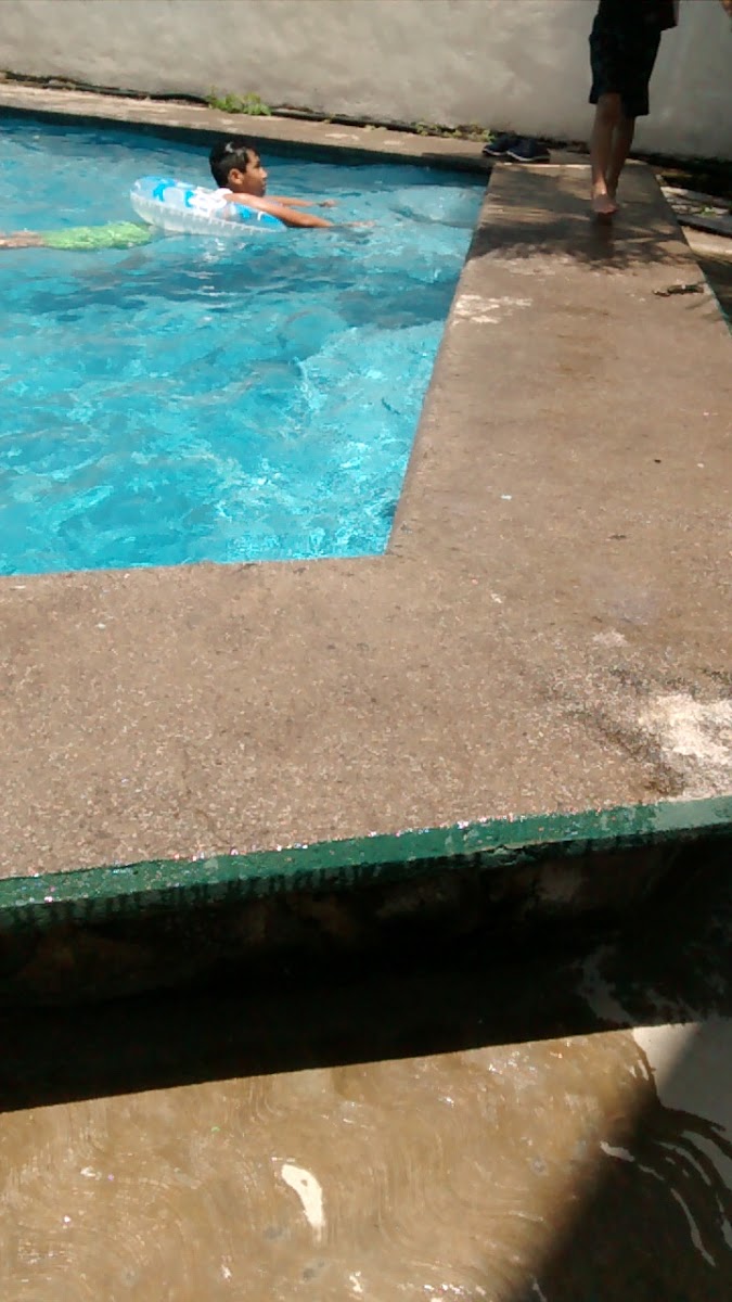 Rapid Inn photo 2