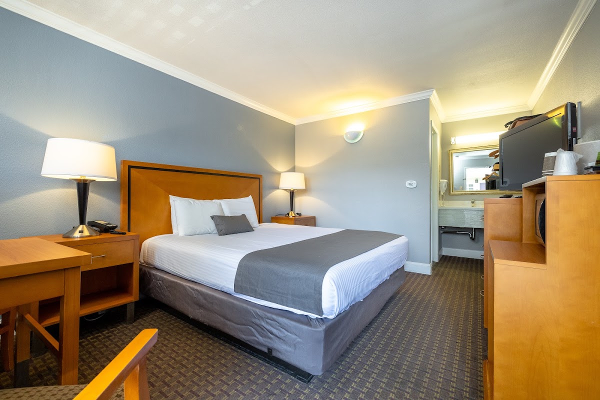 SoMa Park Inn photo 2