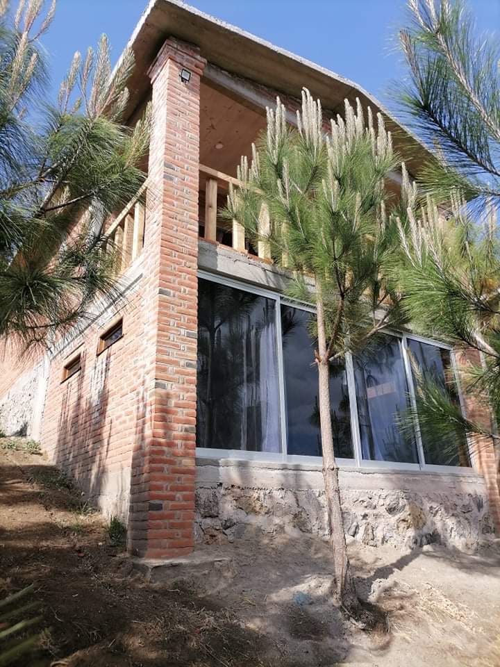 La Palapa De Los Abuelos photo 3