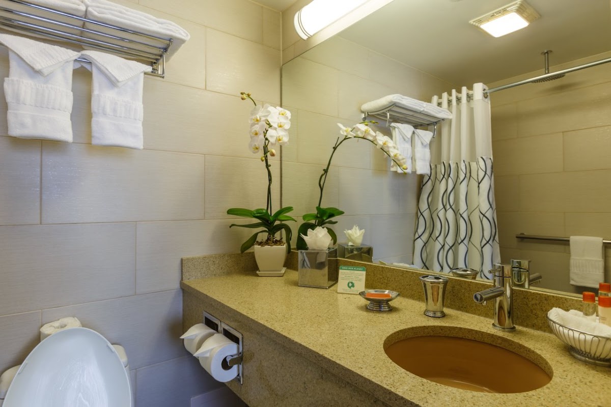 Hotel Le Jolie - A Williamsburg Brooklyn Hotel photo 3