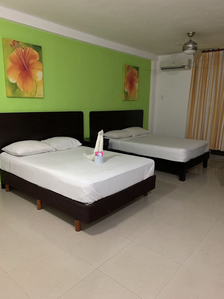 Hostal San Patricio photo 3