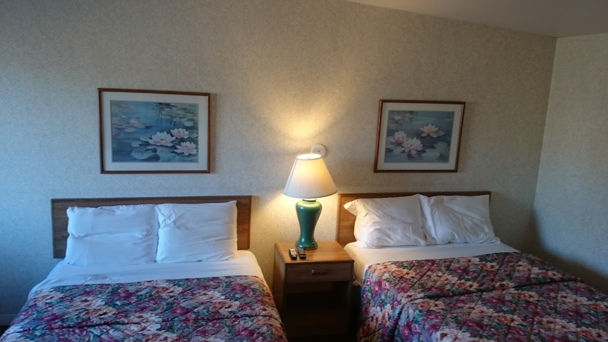 Skye Lodge (no restaurant) photo 2