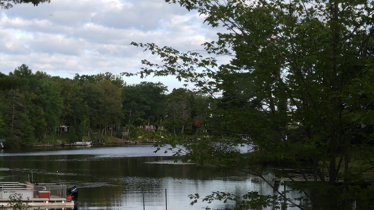 Tall Pines Resort photo 2