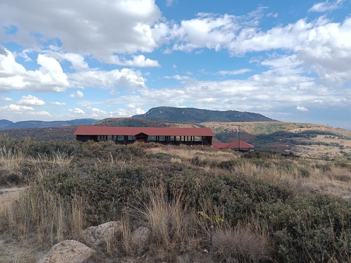 Cabañas y Venados Omega Ranch photo 2