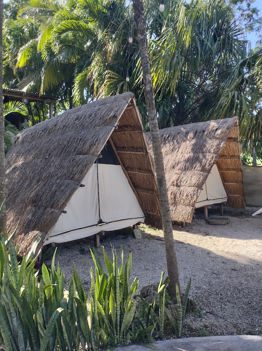 Asana bacalar Glamping