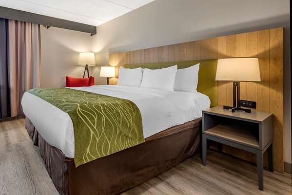 Comfort Inn & Suites Liverpool - Syracuse North photo 2