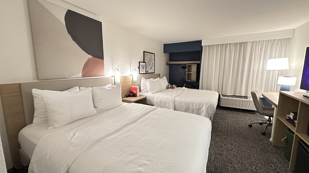 Spark by Hilton San Jose Airport photo 2