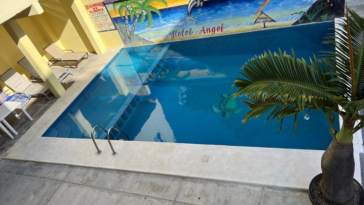 Hotel Angel photo 3
