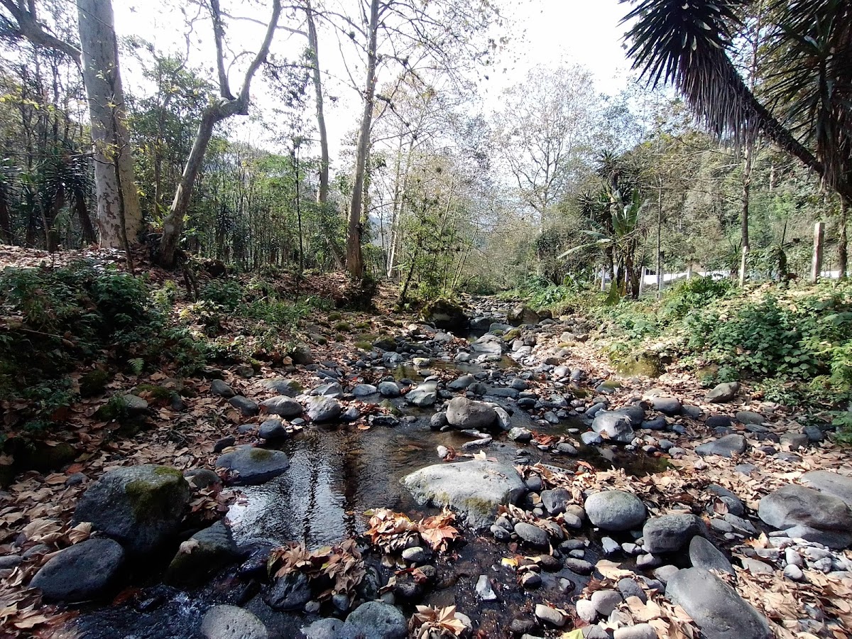 río Pixquiac