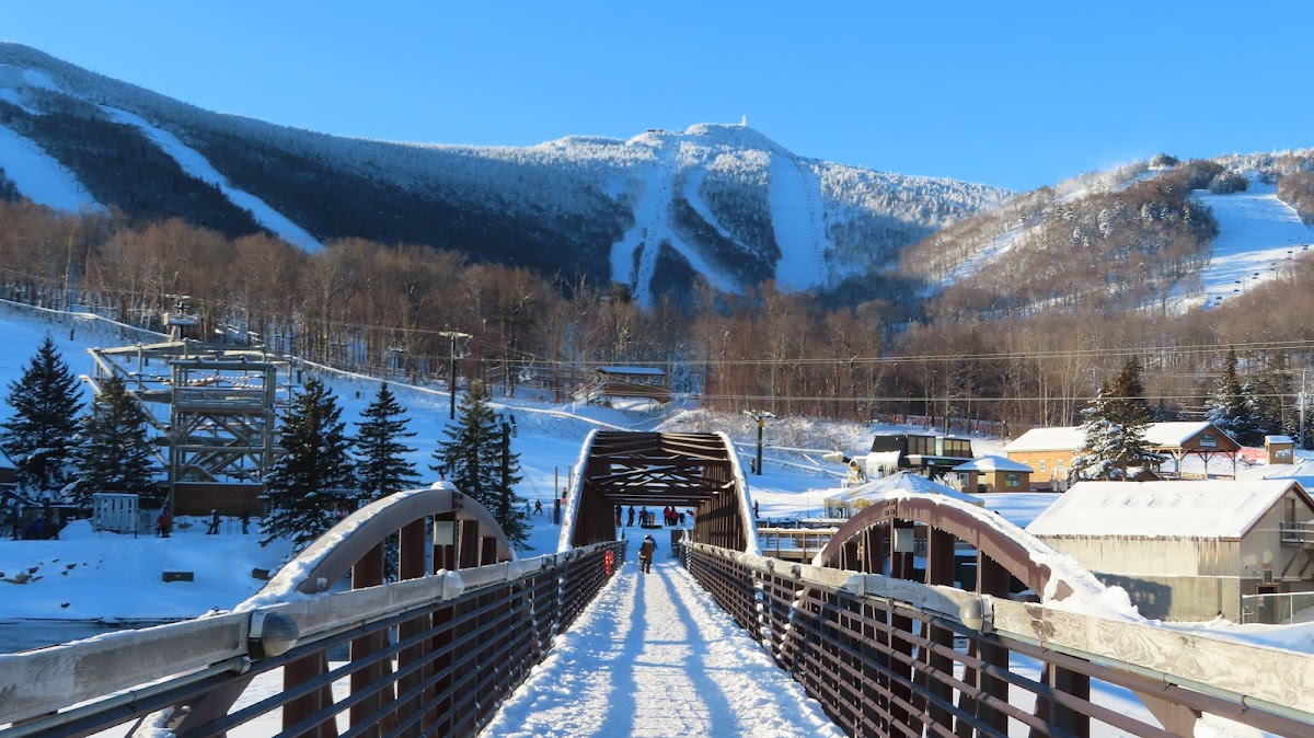 Snowshed Lodge photo 2