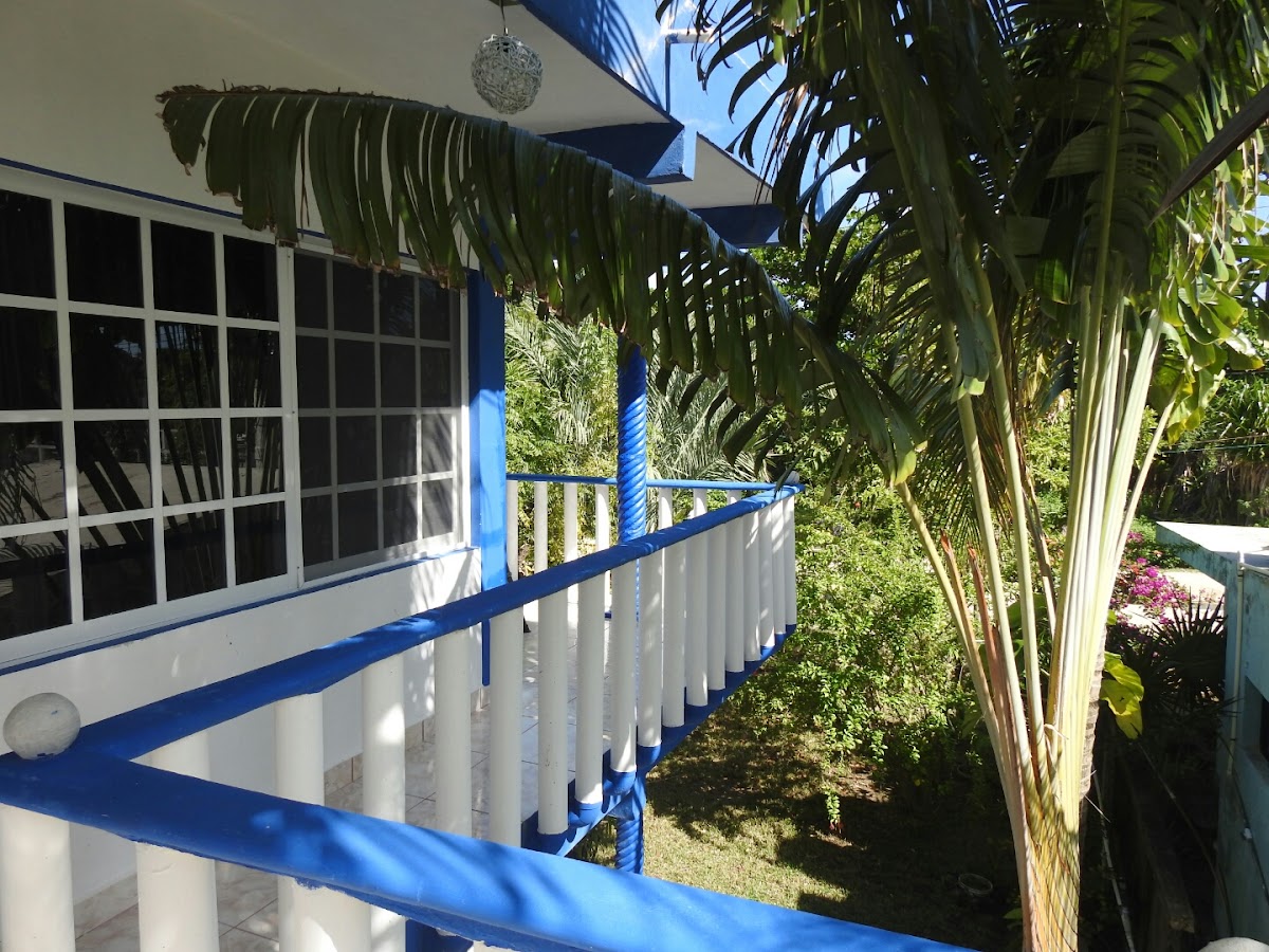 Las Palapas de punta allen