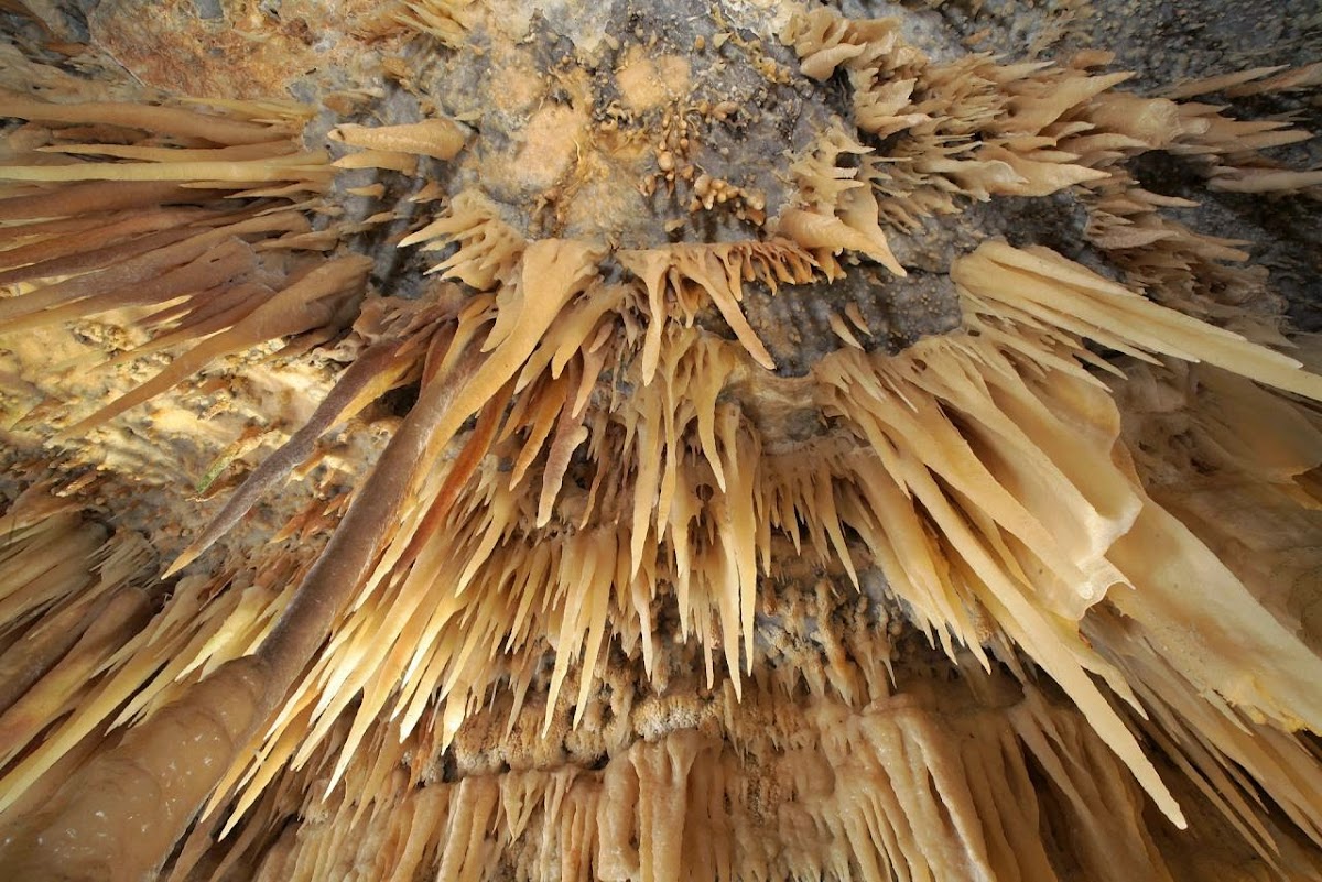 Grotte di Castellana