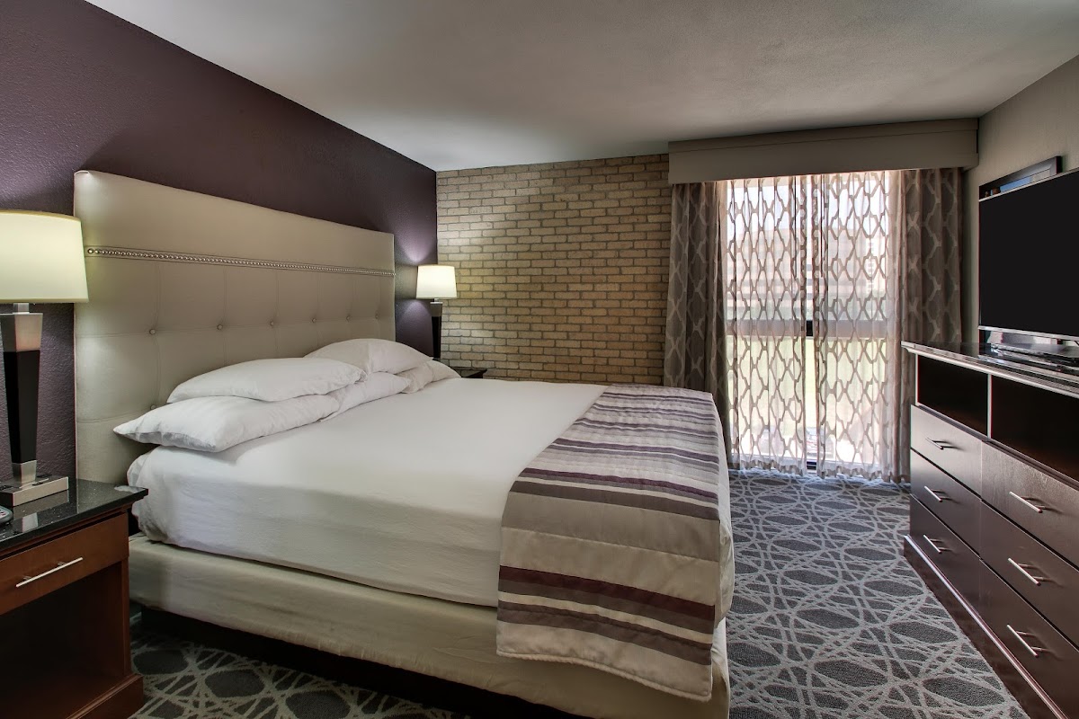 Drury Plaza Hotel San Antonio Airport photo 2