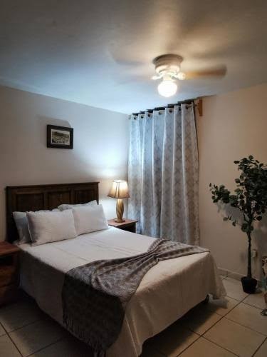 Hotel San Carlo photo 3