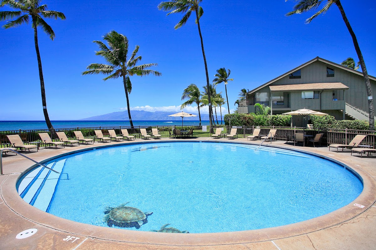 Kahana Village Beachfront Rentals photo 3