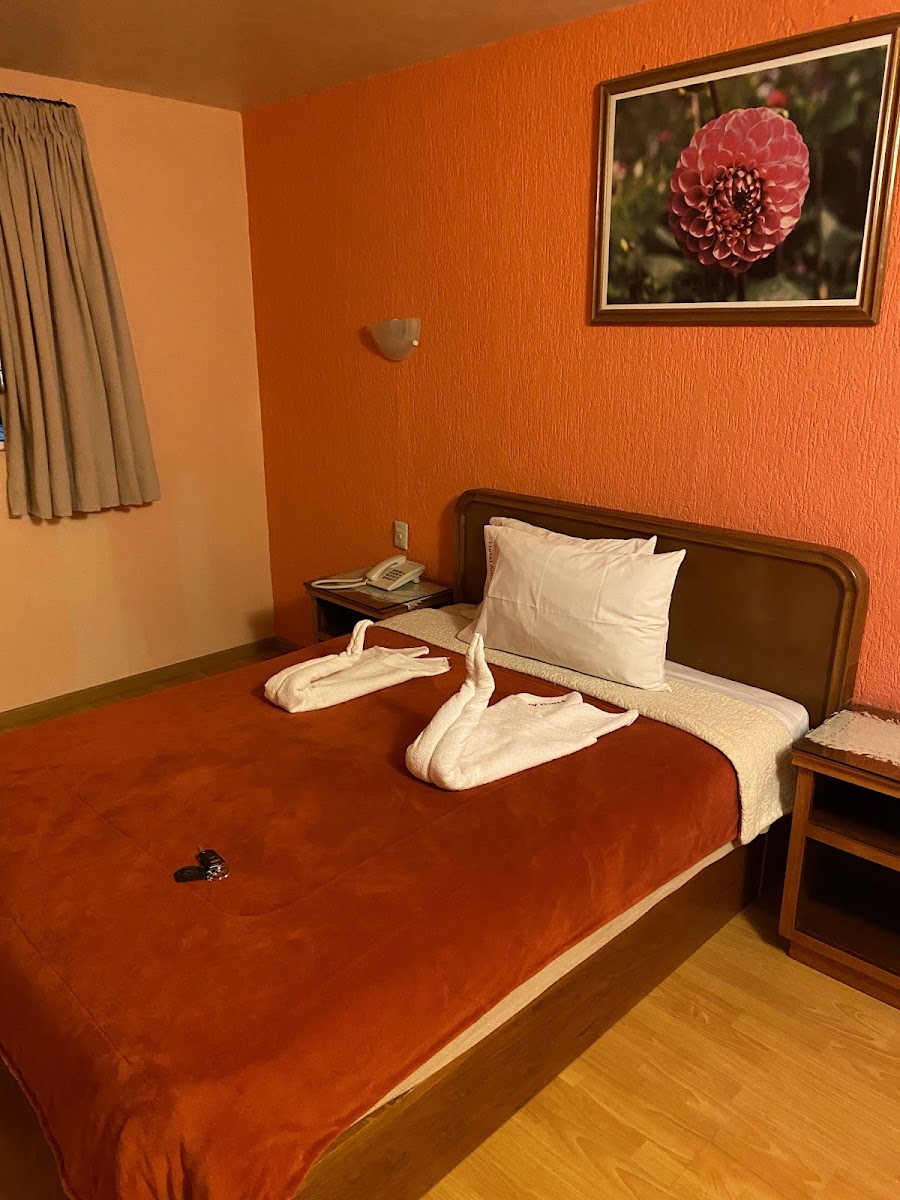 Hotel anita photo 2