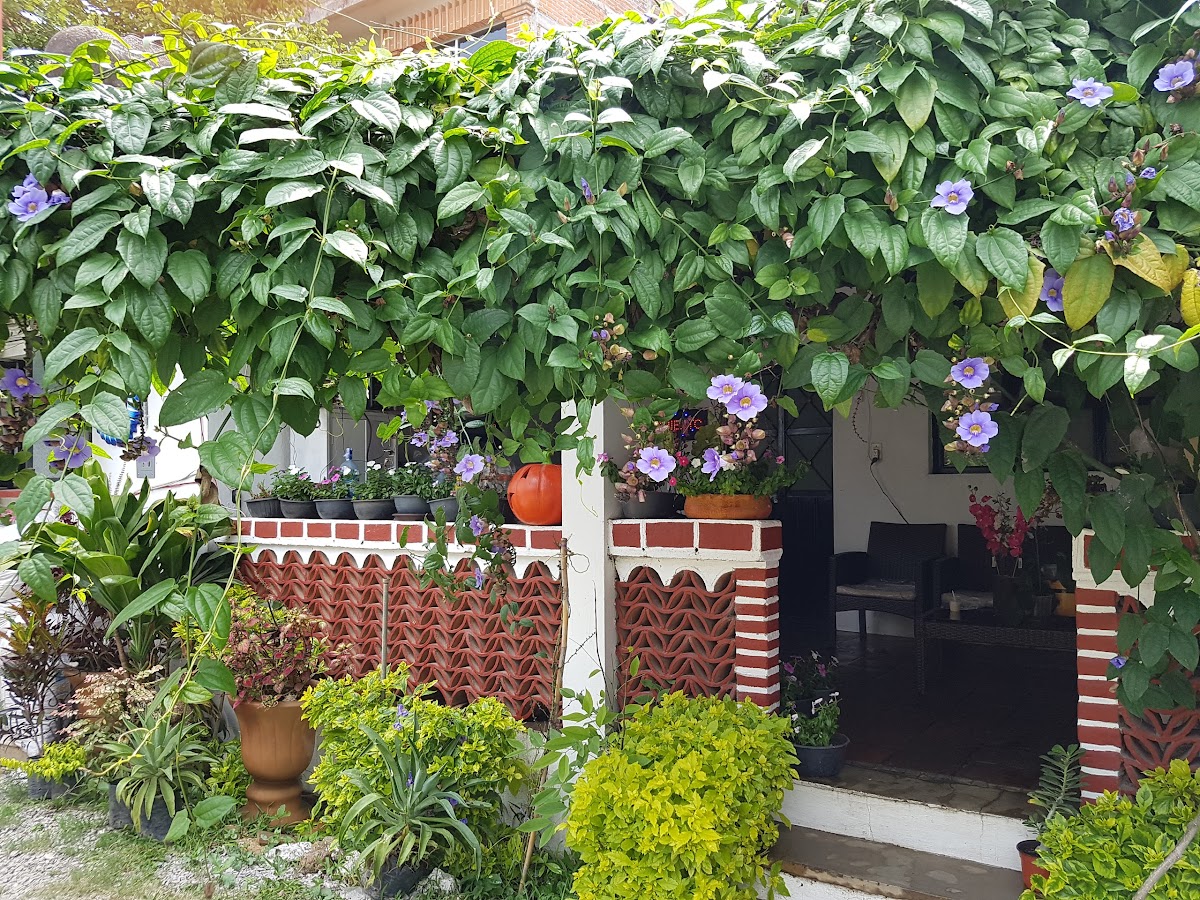 Hospedaje Noemi Tepoztlán photo 3