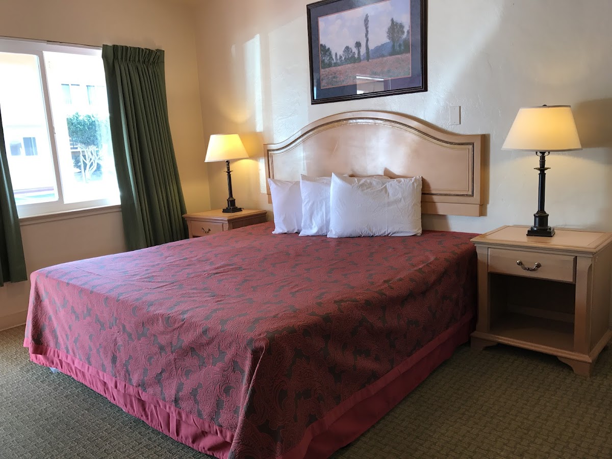 El Dorado Motel photo 3