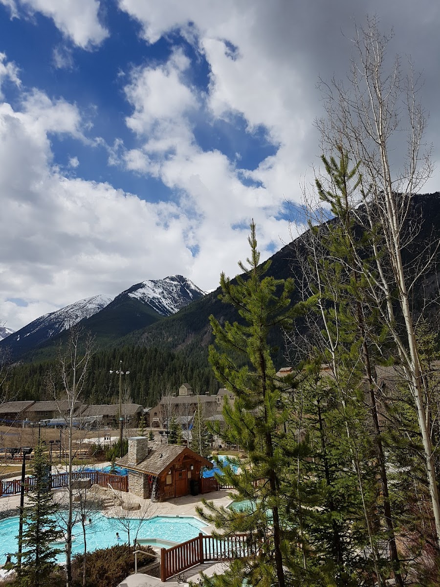 Tamarack Lodge photo 3