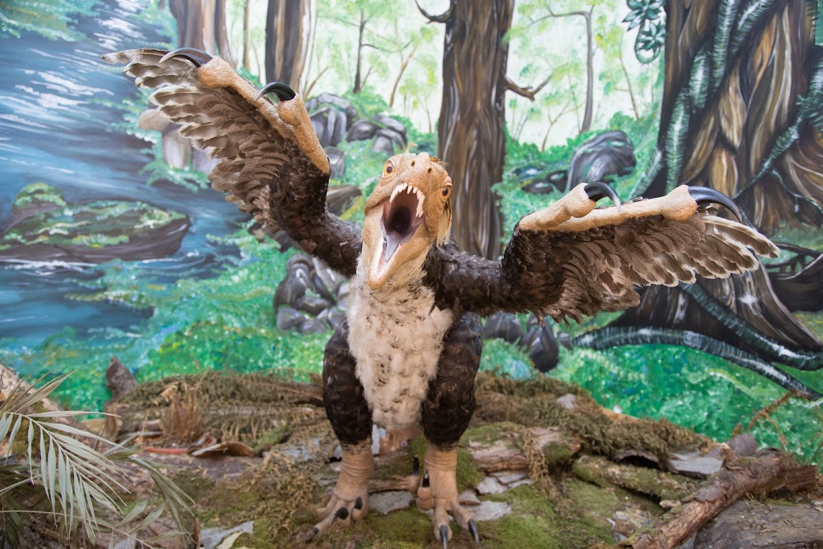 Dinosaur Geopark Haţeg