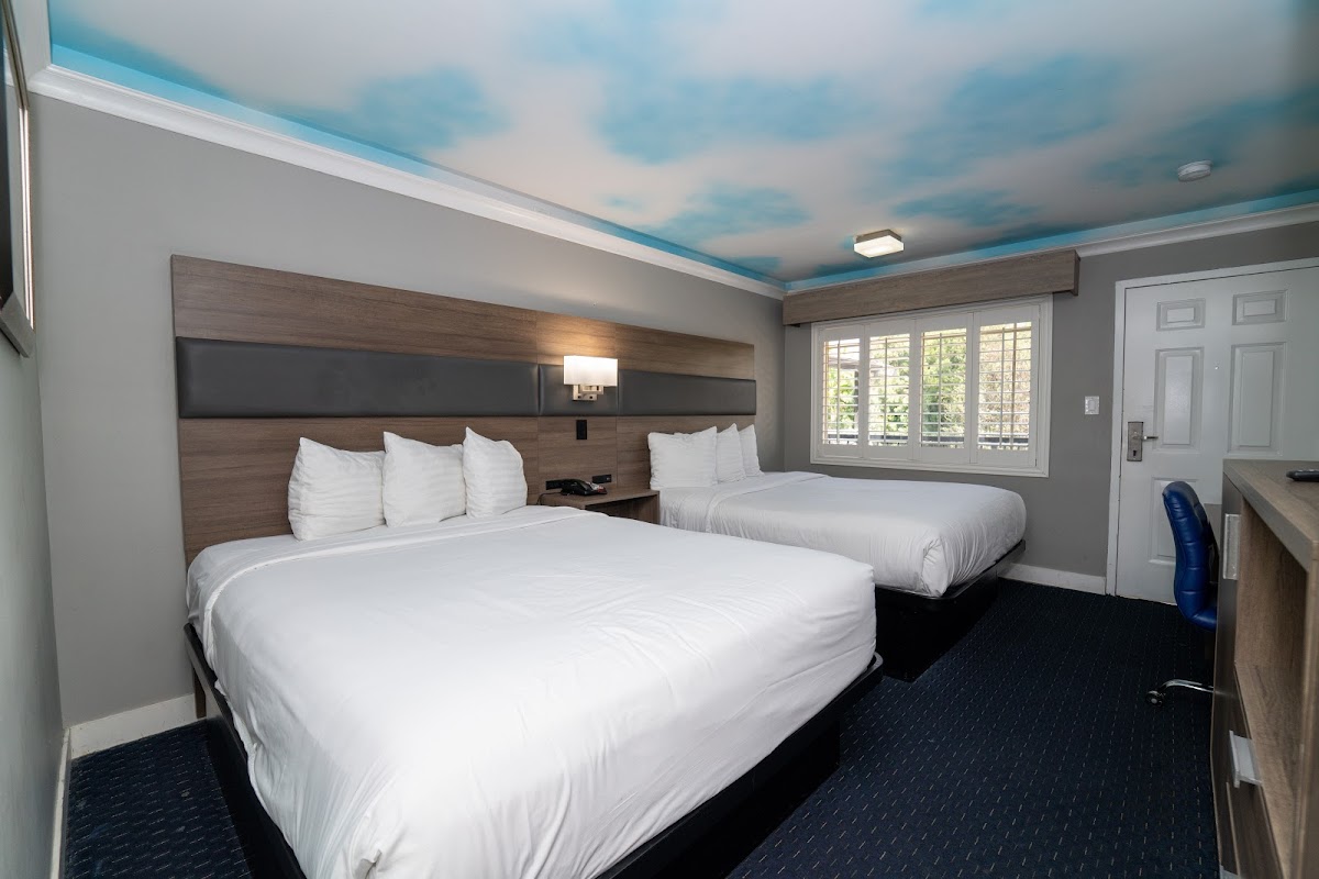 Hollywood Palms Inn & Suites photo 2