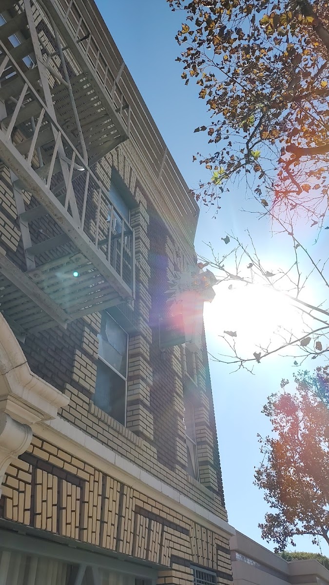 The Palmer House photo 3