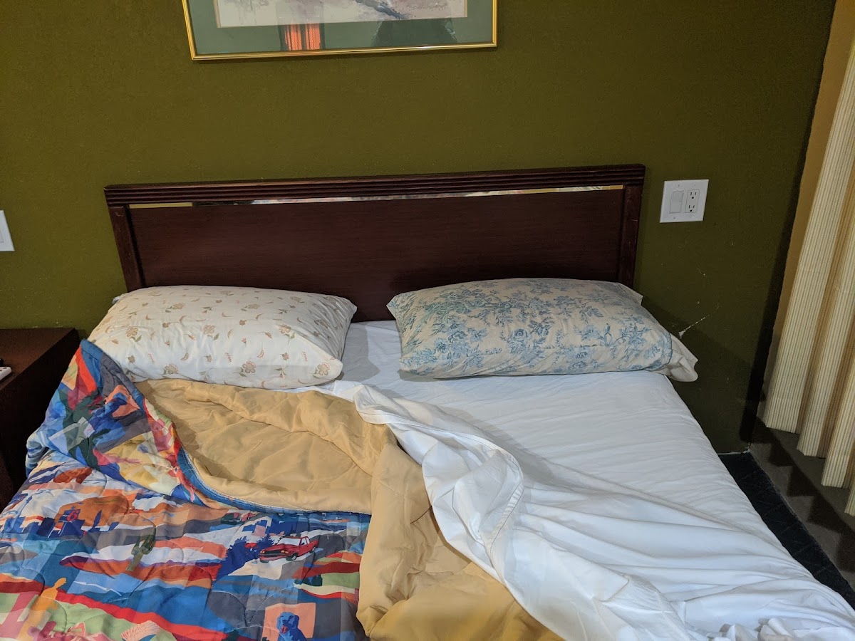 Capri Williams Motel photo 2