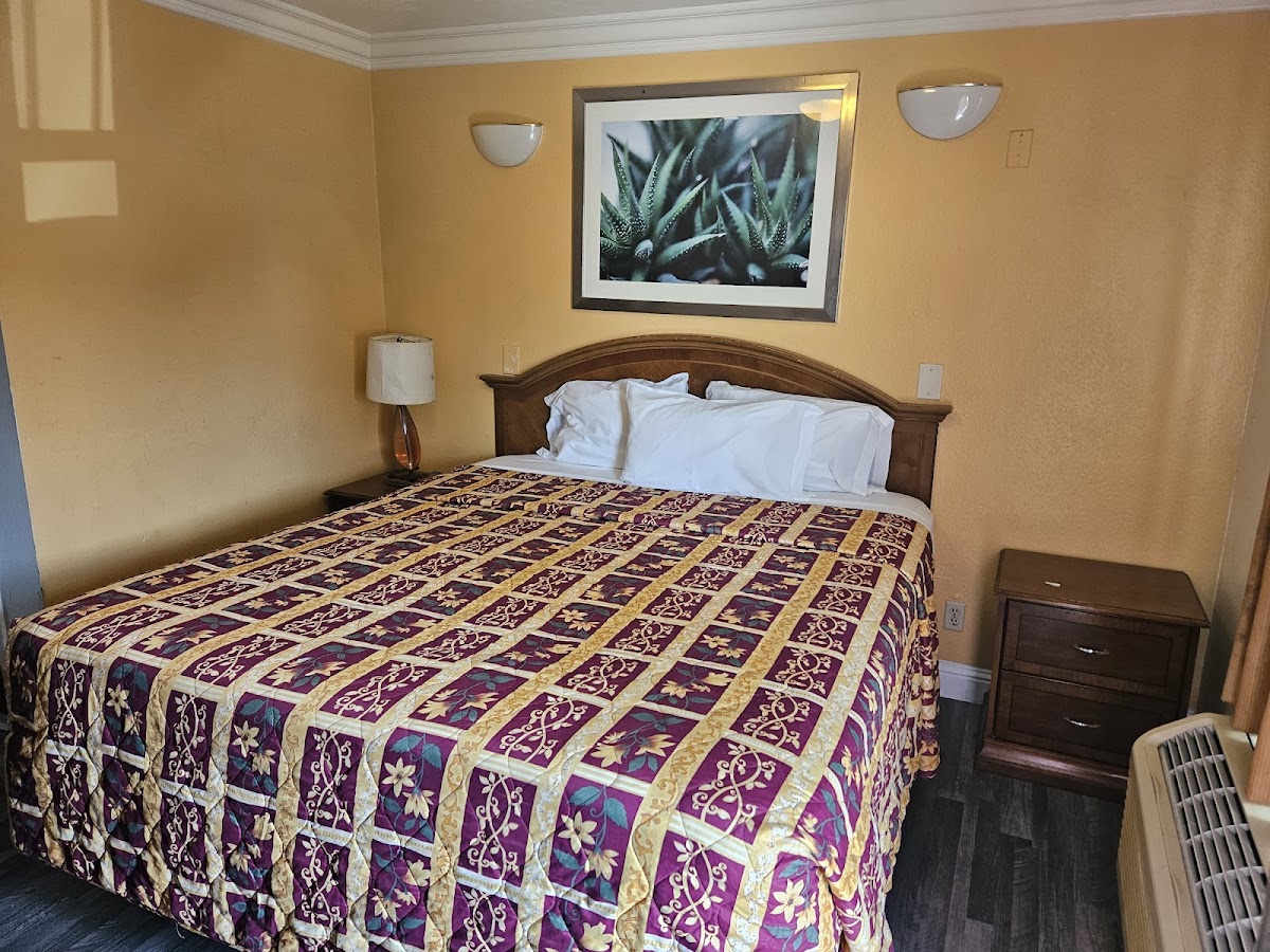 Flamingo Inn Motel photo 2