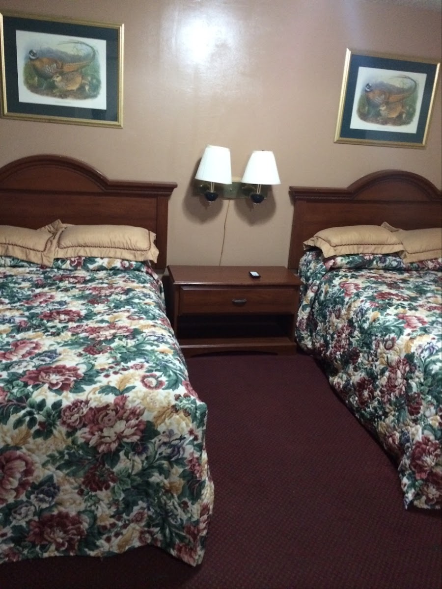 Shamrock Motel Hot Springs photo 3