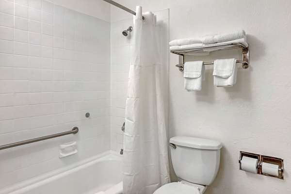 Quality Inn & Suites Ruther Glen photo 3