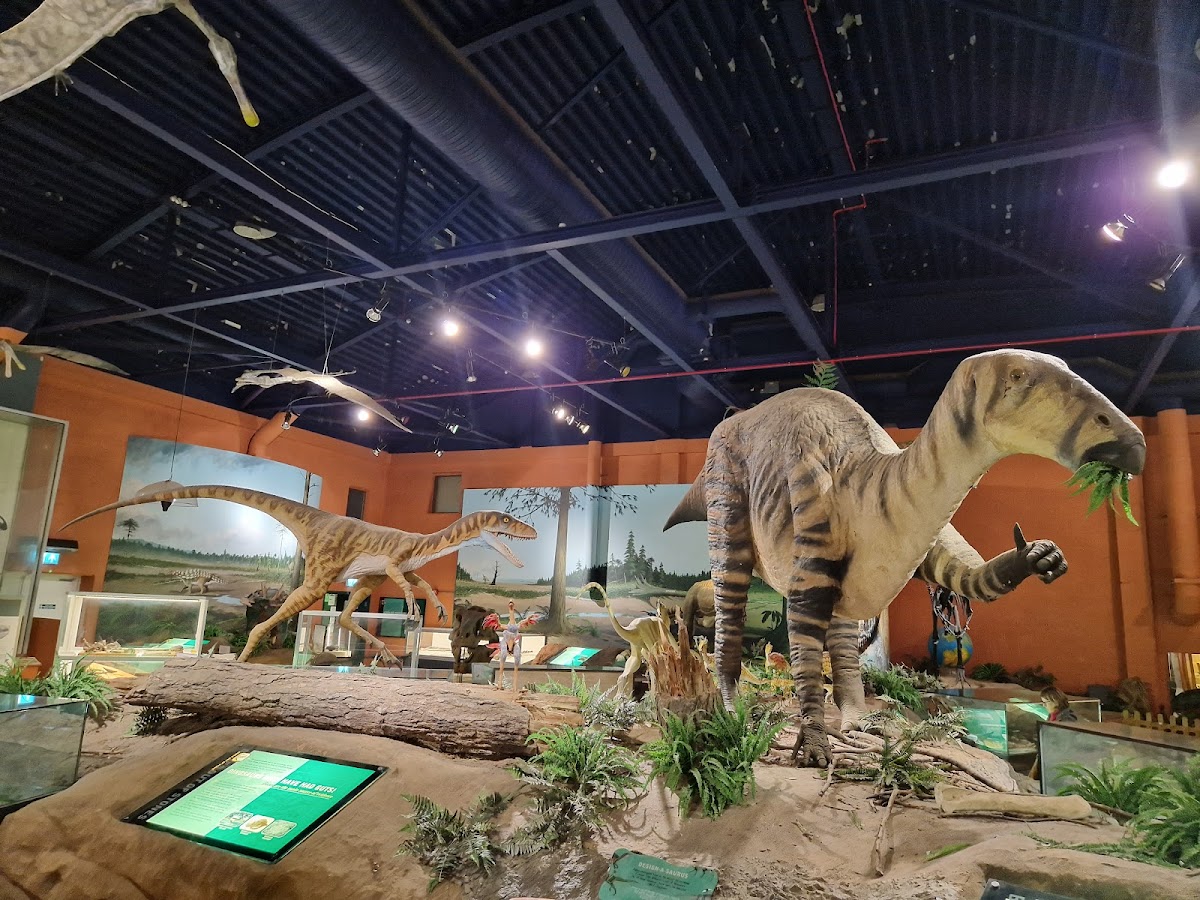 Dinosaur Isle Museum