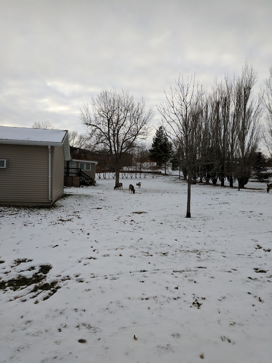 The Dakotan Motel photo 3