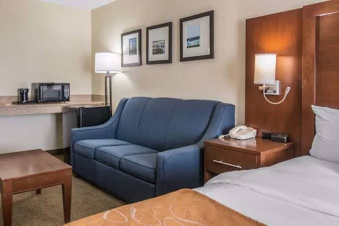 Comfort Suites Wixom - Novi photo 2