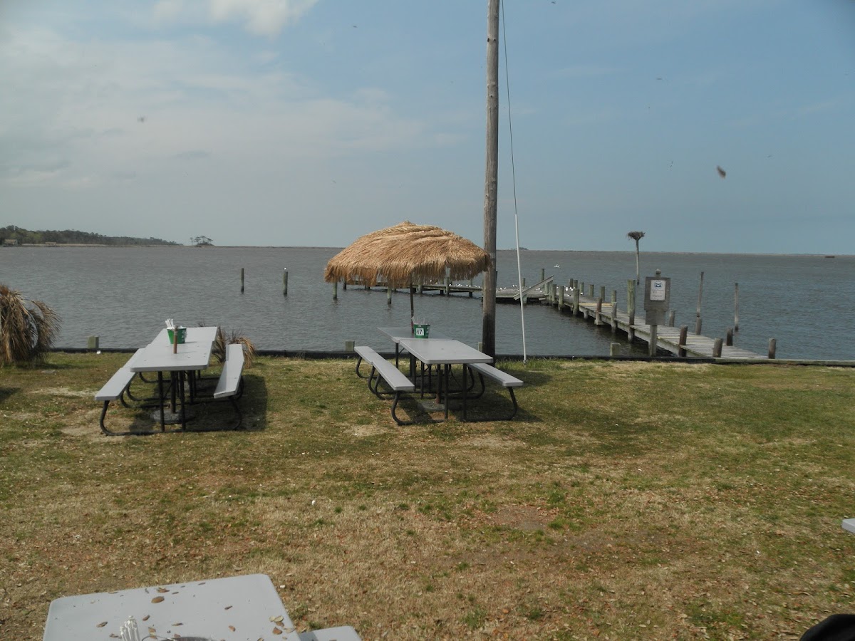 Barry's on Walnut Island Lodge photo 3