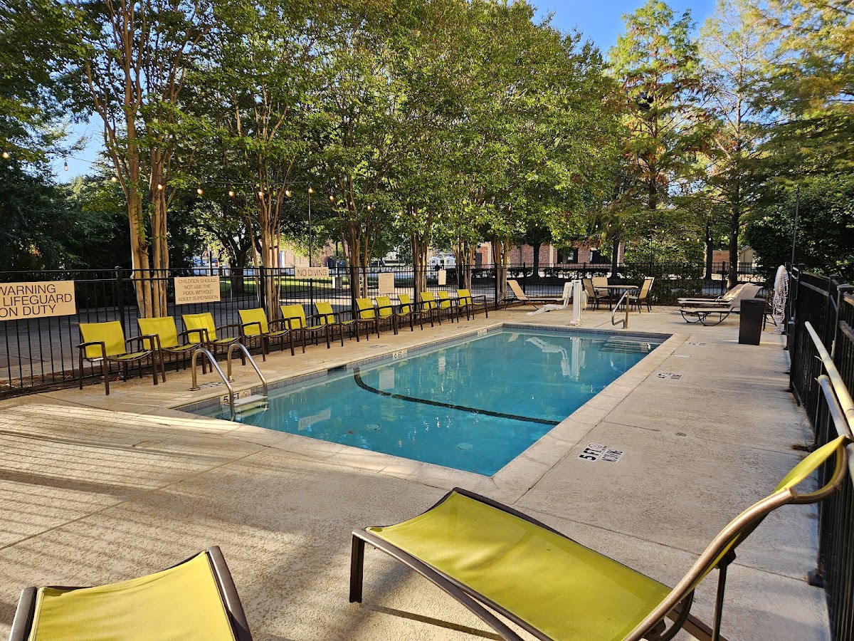 SpringHill Suites by Marriott Dallas Addison/Quorum Drive photo 3