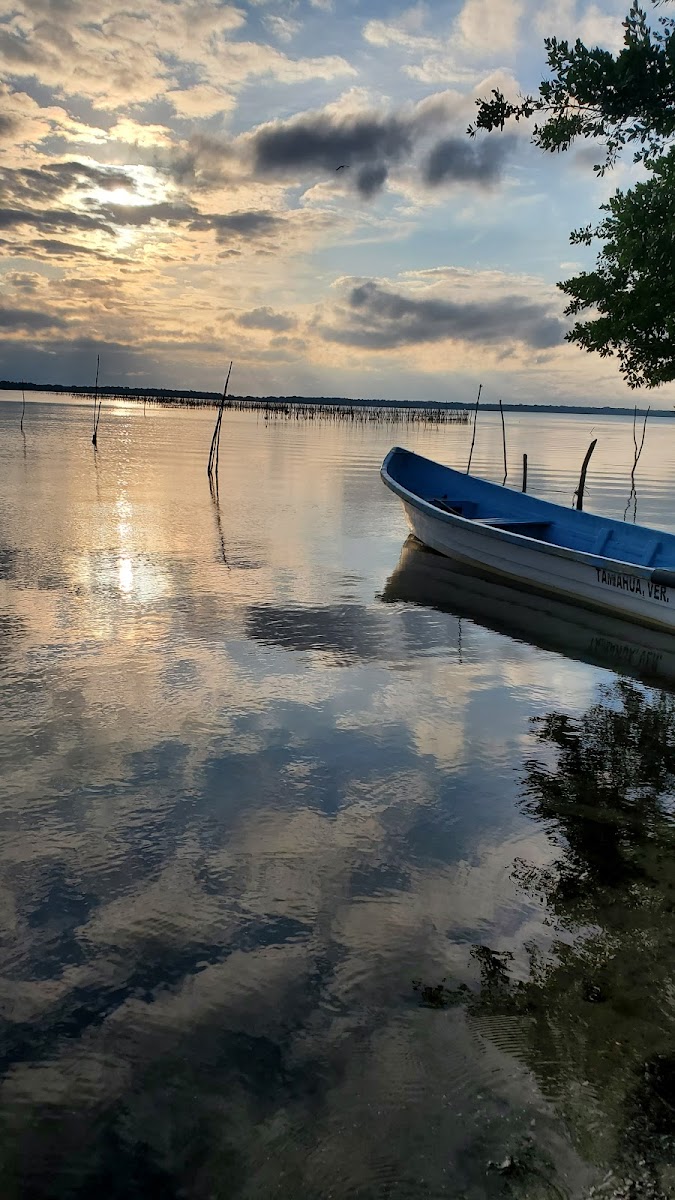 Isla El Ídolo