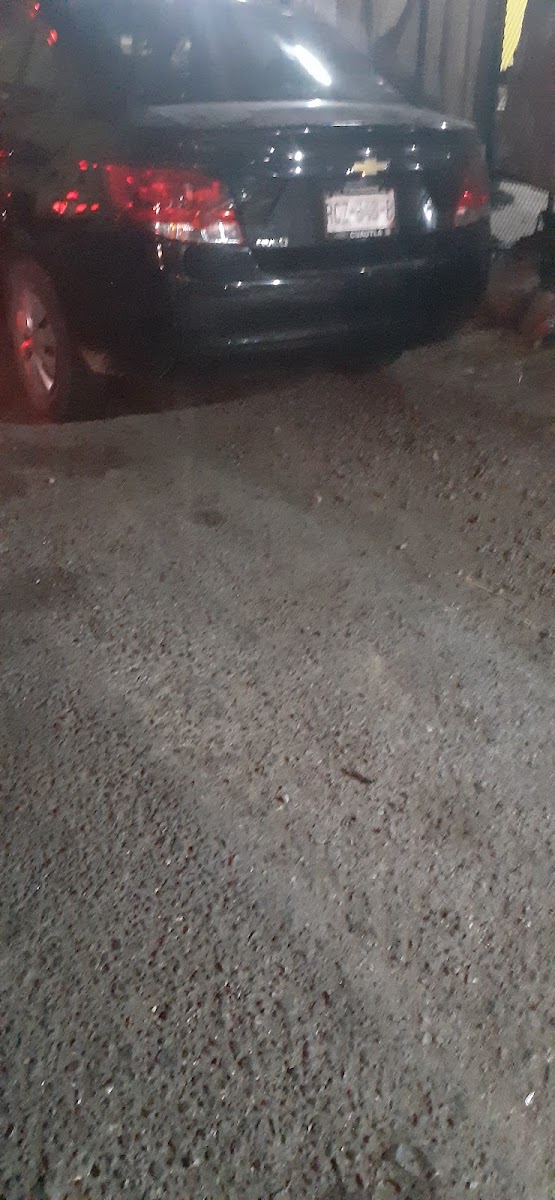 EL SUEÑO photo 3