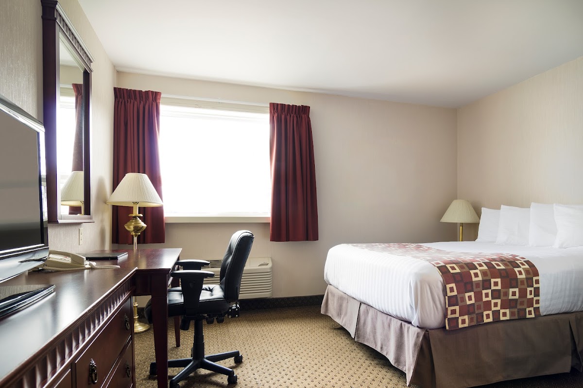 Albatross Hotel photo 2