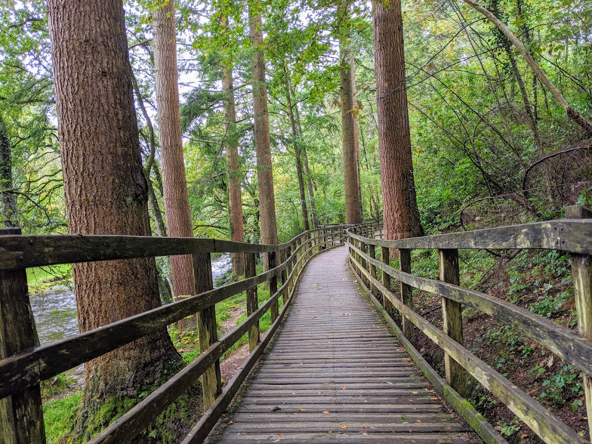 Gwydir Forest Park