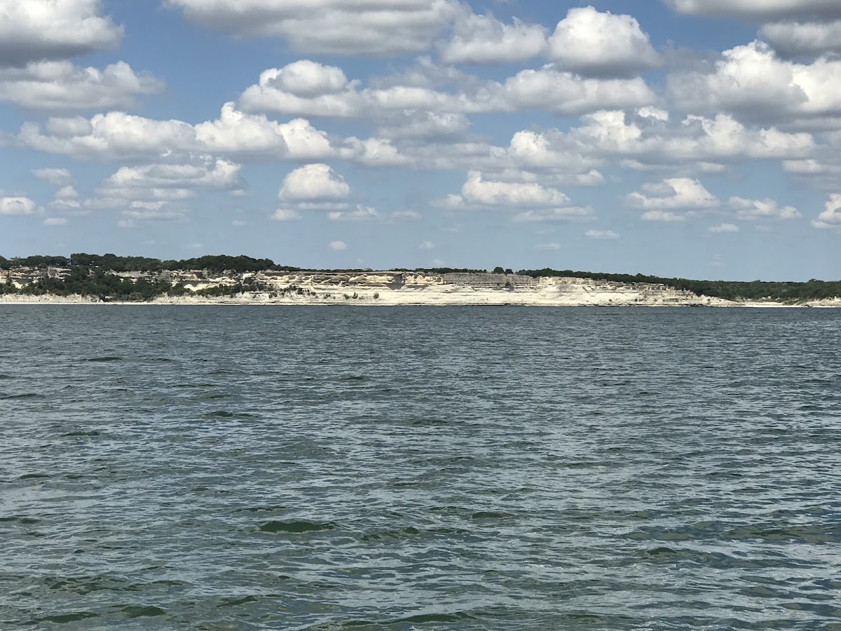 Harbor Resort & Rentals photo 2