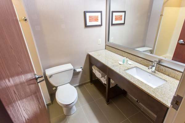 Comfort Inn Pittsburgh Crafton photo 3