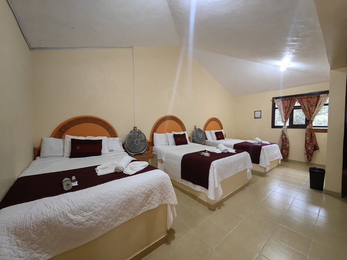 Hotel La Gruta photo 2
