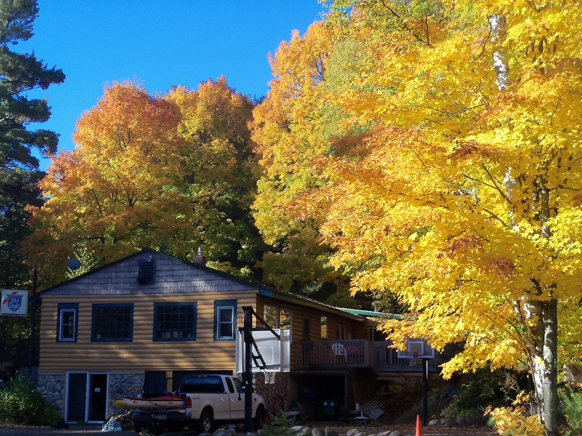 Pine Forest Lodge