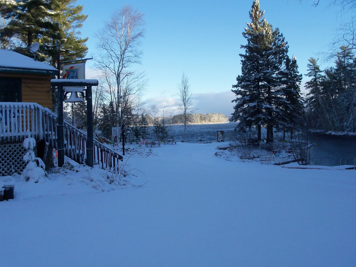 Pine Forest Lodge photo 2