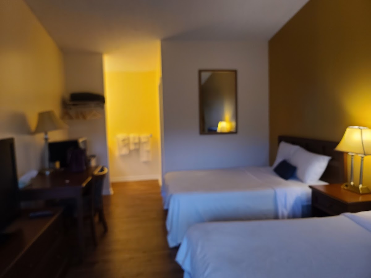 Room 4