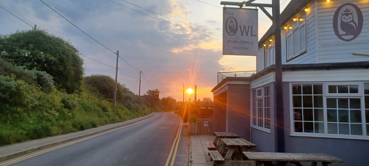 The Owl
