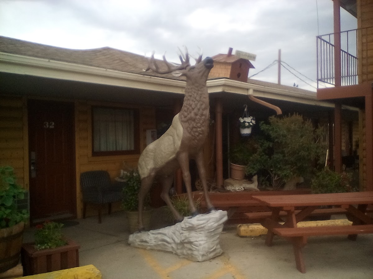 Gas Lite Motel Laramie WY. photo 3