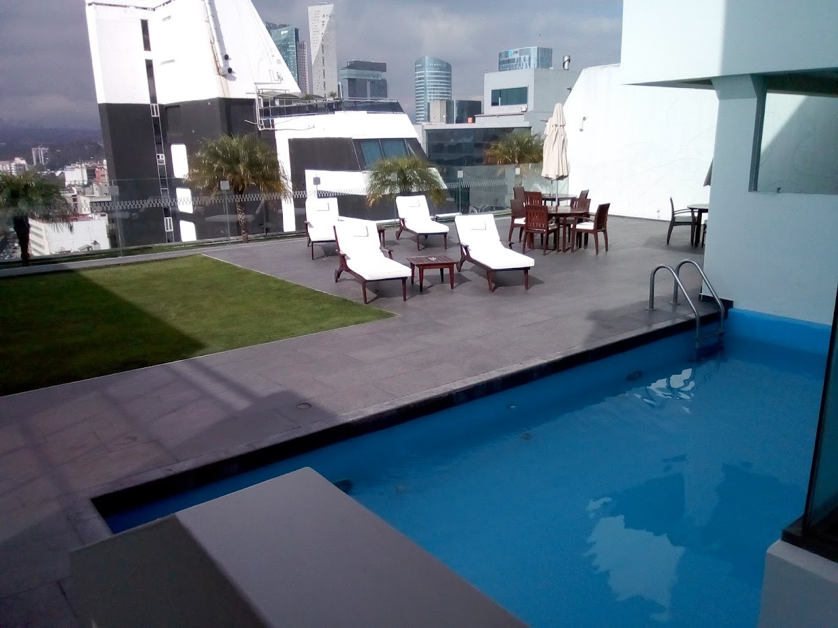 Royal Reforma photo 3